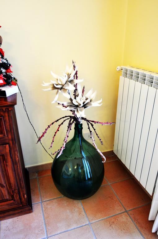 Il Fiore Del Golfo SantʼAgata sui Due Golfi Exteriér fotografie